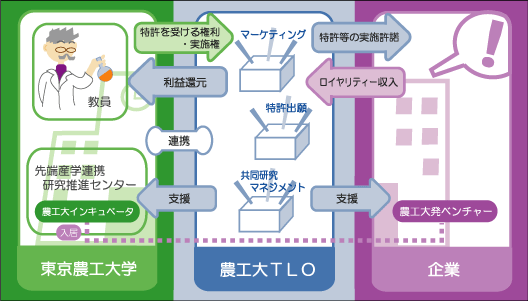 事業構造